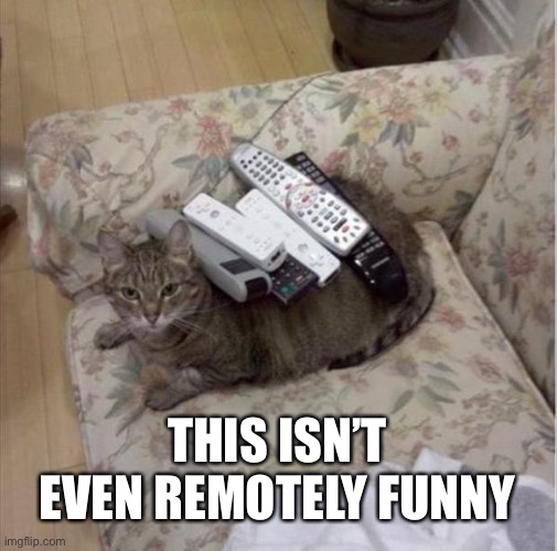 kitty | THIS ISN’T EVEN REMOTELY FUNNY | image tagged in eyeroll,funny,puns,remote | made w/ Imgflip meme maker