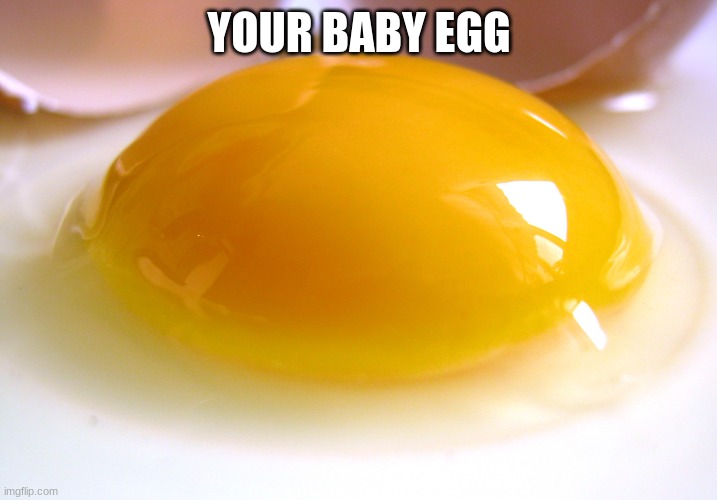 YOUR BABY EGG | made w/ Imgflip meme maker