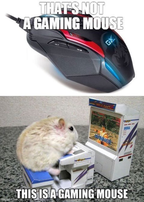 this is true | image tagged in eyeroll,puns,mouse,gaming | made w/ Imgflip meme maker
