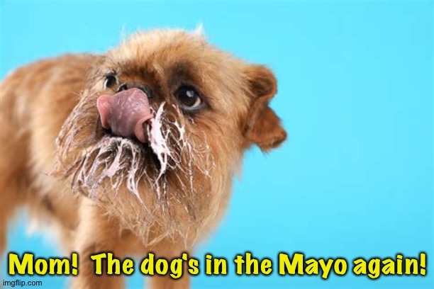 Mom!  The dog's in the Mayo again! | made w/ Imgflip meme maker