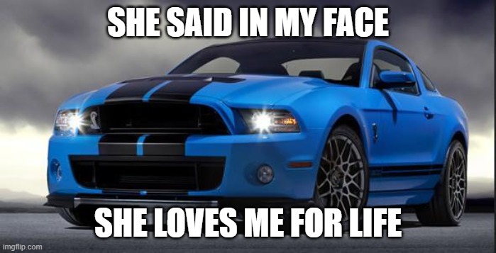 Funny meme |  SHE SAID IN MY FACE; SHE LOVES ME FOR LIFE | image tagged in mustang | made w/ Imgflip meme maker