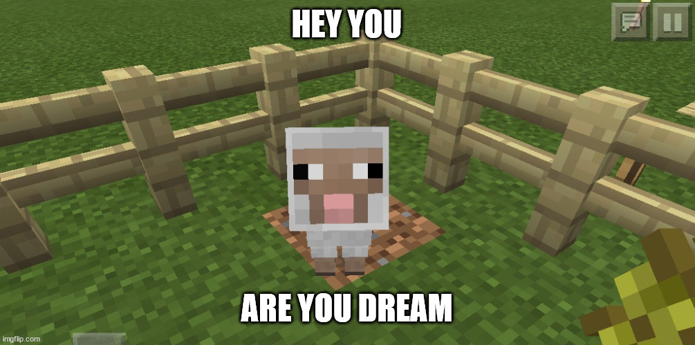Minecraft sheep |  HEY YOU; ARE YOU DREAM | image tagged in minecraft sheep | made w/ Imgflip meme maker