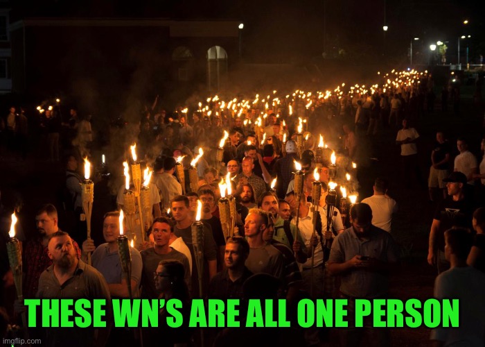White Nationalist Polynesian Tiki Torches | THESE WN’S ARE ALL ONE PERSON | image tagged in white nationalist polynesian tiki torches | made w/ Imgflip meme maker