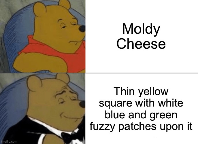 . | Moldy Cheese; Thin yellow square with white blue and green fuzzy patches upon it | image tagged in memes,tuxedo winnie the pooh | made w/ Imgflip meme maker