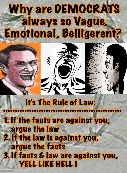 Democrats are just following the Rules | Why are DEMOCRATS always so Vague, Emotional, Belligerent? It’s The Rule of Law: 
••••••••••••••••••••••••••••••••••••••••••••••••••
1. If the facts are against you, 
    argue the law
2. If the law is against you, 
    argue the facts
3. If facts & law are against you, 
        YELL LIKE HELL ! | image tagged in logical thought,emotional rollercoaster,which rules you,emotional people are easily manipulated,controlled and steady,or nuts | made w/ Imgflip meme maker