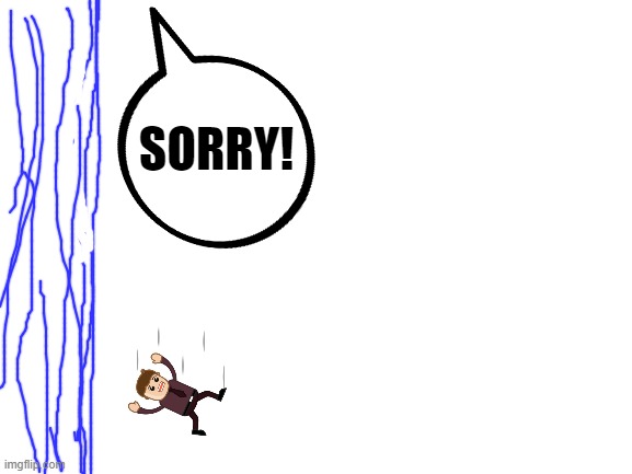 Blank White Template | SORRY! | image tagged in blank white template | made w/ Imgflip meme maker