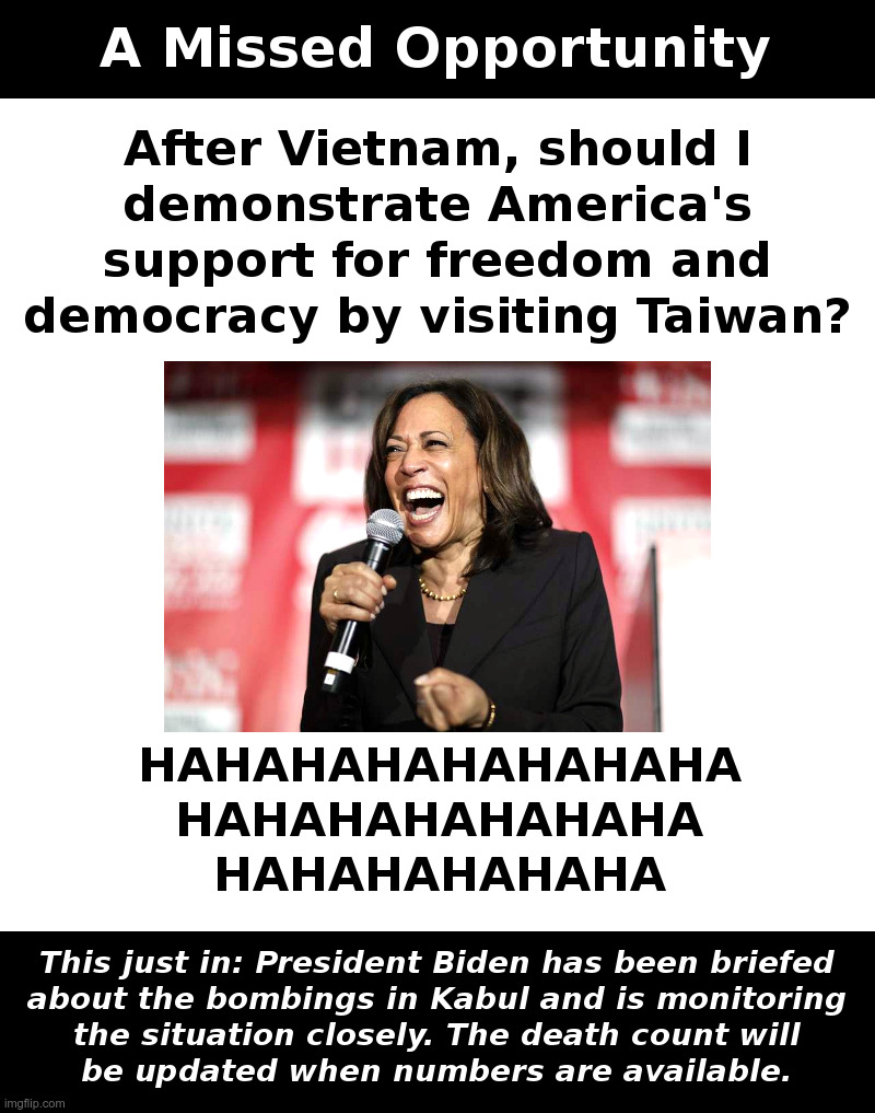 A Missed Opportunity | image tagged in kamala harris,singapore,vietnam,visit,taiwan,laughter | made w/ Imgflip meme maker