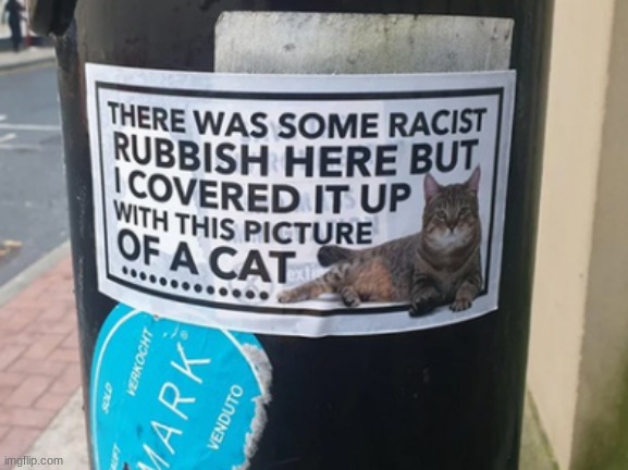 Cats are better than racism | image tagged in cats,funny cats,funny cat memes,wholesome | made w/ Imgflip meme maker