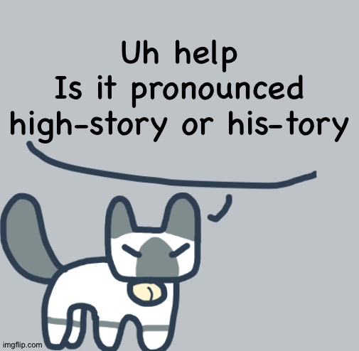 Cat | Uh help
Is it pronounced high-story or his-tory | image tagged in cat | made w/ Imgflip meme maker