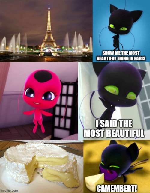 Plagg's true love | CAMEMBERT! | image tagged in miraculous ladybug | made w/ Imgflip meme maker