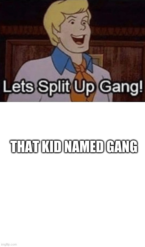 THAT KID NAMED GANG | image tagged in let s split up hang,memes,blank transparent square | made w/ Imgflip meme maker