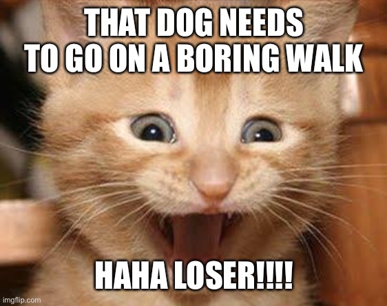 Dogs are losers and everyone knows it | THAT DOG NEEDS TO GO ON A BORING WALK; HAHA LOSER!!!! | image tagged in memes,excited cat | made w/ Imgflip meme maker