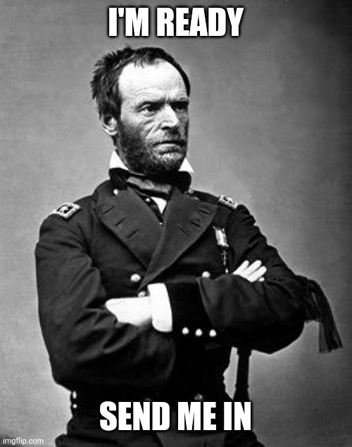 General Sherman | I'M READY; SEND ME IN | image tagged in general sherman | made w/ Imgflip meme maker