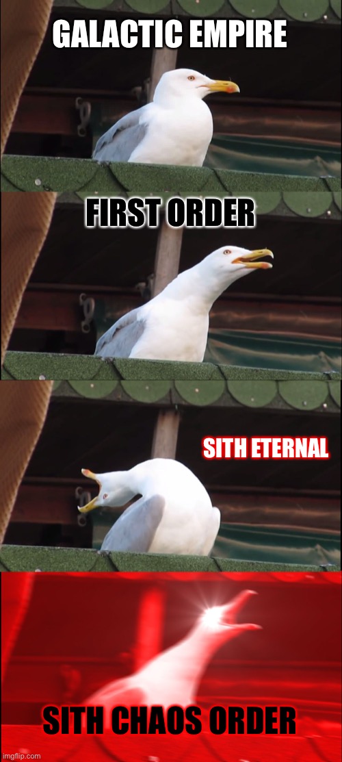 My New Star Wars Dark Side Faction | GALACTIC EMPIRE; FIRST ORDER; SITH ETERNAL; SITH CHAOS ORDER | image tagged in memes,inhaling seagull | made w/ Imgflip meme maker
