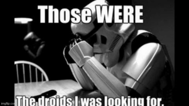 took u long enough | image tagged in star wars,stormtrooper | made w/ Imgflip meme maker