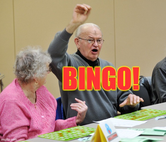 Bingo | BINGO! | image tagged in bingo | made w/ Imgflip meme maker