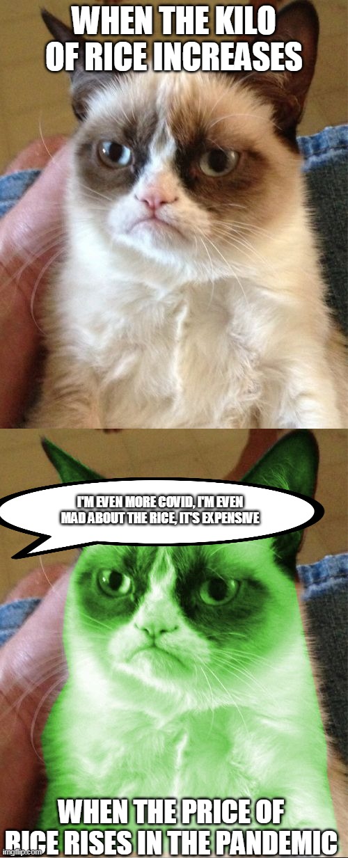WHEN THE KILO OF RICE INCREASES; I'M EVEN MORE COVID, I'M EVEN MAD ABOUT THE RICE, IT'S EXPENSIVE; WHEN THE PRICE OF RICE RISES IN THE PANDEMIC | image tagged in memes,grumpy cat,radioactive grumpy | made w/ Imgflip meme maker