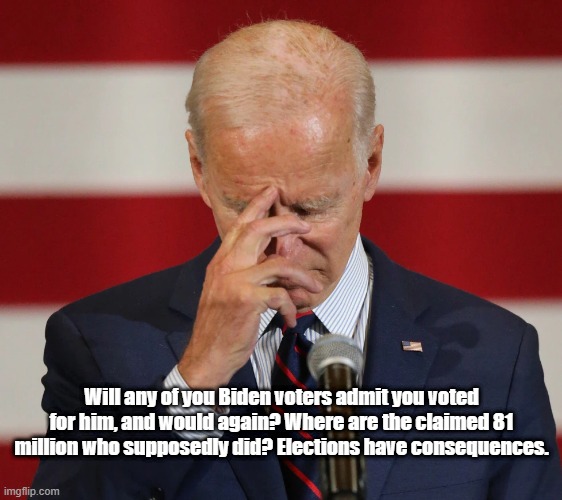 Voted | Will any of you Biden voters admit you voted for him, and would again? Where are the claimed 81 million who supposedly did? Elections have consequences. | made w/ Imgflip meme maker