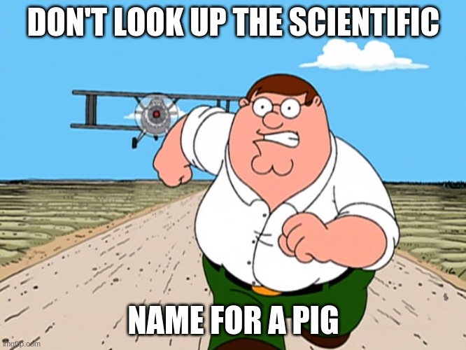 Peter Griffin running away | DON'T LOOK UP THE SCIENTIFIC; NAME FOR A PIG | image tagged in peter griffin running away | made w/ Imgflip meme maker