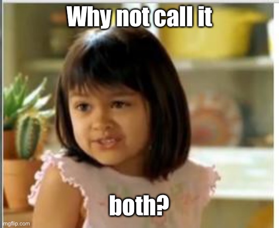 Why not both | Why not call it both? | image tagged in why not both | made w/ Imgflip meme maker