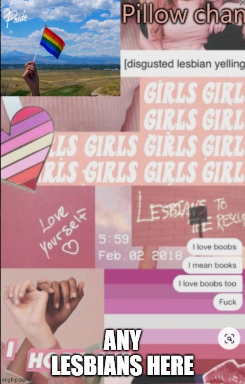 Lesbian | ANY LESBIANS HERE | image tagged in lesbian | made w/ Imgflip meme maker