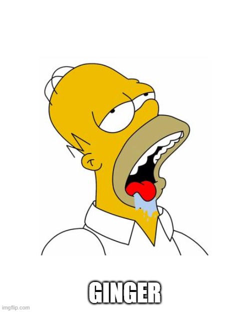 Homer Simpson Drooling | GINGER | image tagged in homer simpson drooling | made w/ Imgflip meme maker