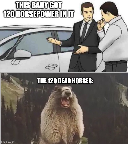 lol | THIS BABY GOT 120 HORSEPOWER IN IT; THE 120 DEAD HORSES: | image tagged in memes,car salesman slaps roof of car,lol,car memes,horses,funny | made w/ Imgflip meme maker