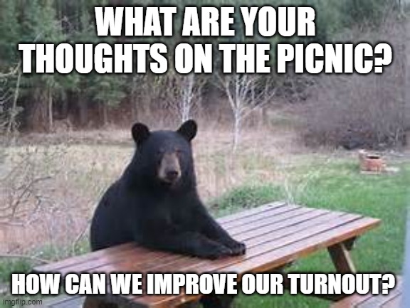 picnic bear | WHAT ARE YOUR THOUGHTS ON THE PICNIC? HOW CAN WE IMPROVE OUR TURNOUT? | image tagged in picnic bear | made w/ Imgflip meme maker