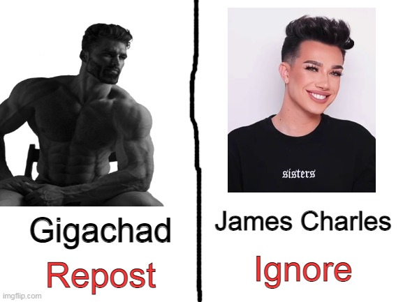 Blank White Template | James Charles; Gigachad; Ignore; Repost | image tagged in blank white template,repost,memes | made w/ Imgflip meme maker