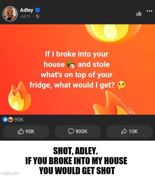 SHOT, ADLEY. 
IF YOU BROKE INTO MY HOUSE
 YOU WOULD GET SHOT | image tagged in adley | made w/ Imgflip meme maker
