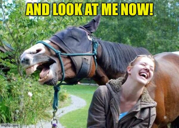 Laughing Horse | AND LOOK AT ME NOW! | image tagged in laughing horse | made w/ Imgflip meme maker