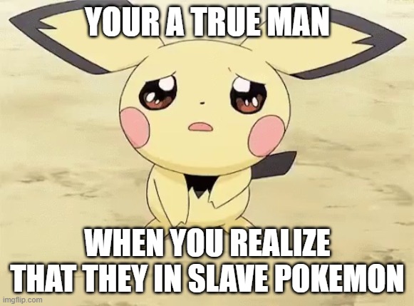 Sad pichu |  YOUR A TRUE MAN; WHEN YOU REALIZE THAT THEY IN SLAVE POKEMON | image tagged in sad pichu | made w/ Imgflip meme maker