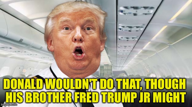 DONALD WOULDN'T DO THAT, THOUGH 
HIS BROTHER FRED TRUMP JR MIGHT | made w/ Imgflip meme maker