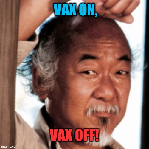 Mr. Miyagi | VAX ON, VAX OFF! | image tagged in mr miyagi | made w/ Imgflip meme maker