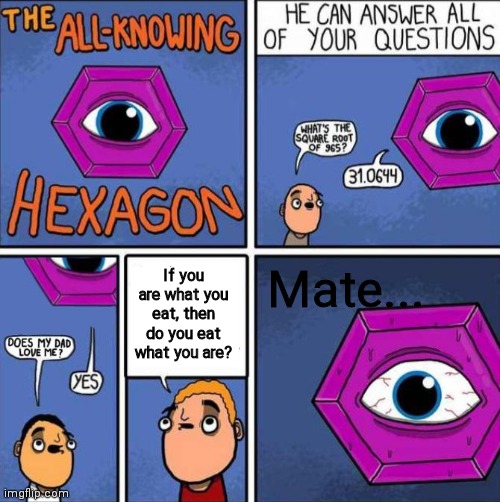 All knowing hexagon (ORIGINAL) | Mate... If you are what you eat, then do you eat what you are? | image tagged in all knowing hexagon original | made w/ Imgflip meme maker