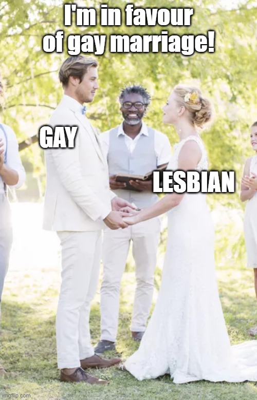 That black man be like: "wHuT?!" XD | I'm in favour of gay marriage! GAY; LESBIAN | image tagged in marriage,gay,lesbian,marrying,gay rights,memes | made w/ Imgflip meme maker