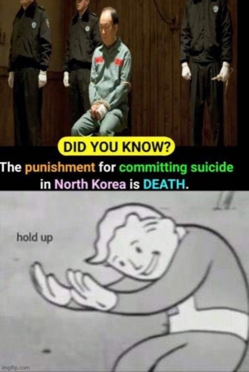 you dont say? | image tagged in fallout hold up,stupid,north korea,funny,suicide,captain picard facepalm | made w/ Imgflip meme maker