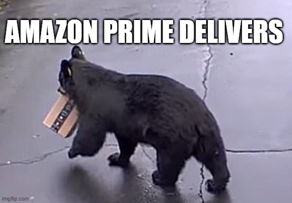 Amazon Prime delivers | AMAZON PRIME DELIVERS | image tagged in dark humor | made w/ Imgflip meme maker