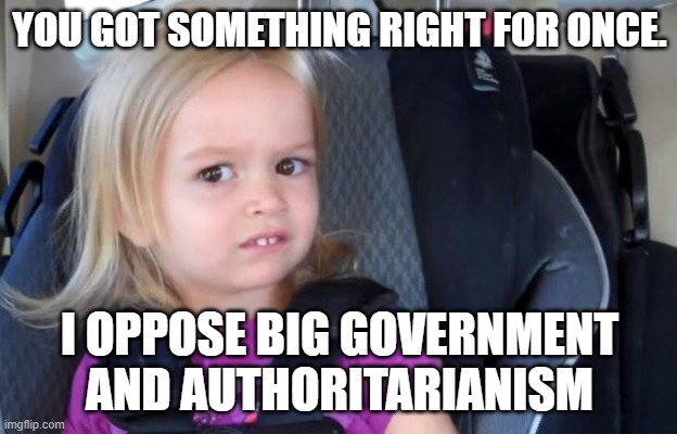 Side Eyeing Chloe | YOU GOT SOMETHING RIGHT FOR ONCE. I OPPOSE BIG GOVERNMENT AND AUTHORITARIANISM | image tagged in side eyeing chloe | made w/ Imgflip meme maker