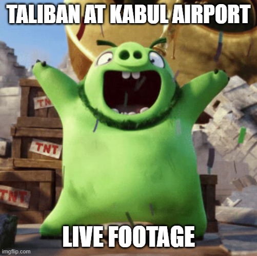 Taliban pig | TALIBAN AT KABUL AIRPORT; LIVE FOOTAGE | image tagged in memes,funny,funny memes,taliban,angry birds,angry birds pig | made w/ Imgflip meme maker