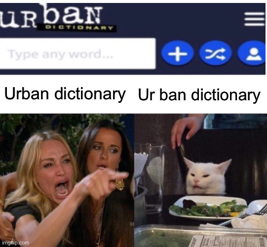 Urban dictionary; Ur ban dictionary | image tagged in memes,woman yelling at cat,funny memes,funny meme | made w/ Imgflip meme maker