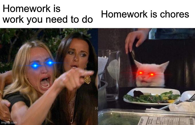 Well yeah | Homework is work you need to do; Homework is chores | image tagged in memes,woman yelling at cat | made w/ Imgflip meme maker