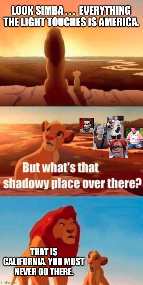 Simba Shadowy Place Meme | LOOK SIMBA . . .  EVERYTHING THE LIGHT TOUCHES IS AMERICA. THAT IS CALIFORNIA. YOU MUST NEVER GO THERE. | image tagged in memes,simba shadowy place,woke,angry sjw,funny | made w/ Imgflip meme maker