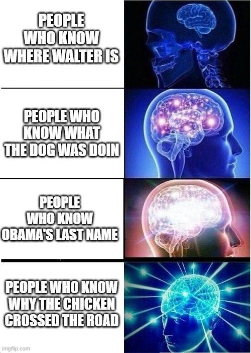 after my long break I am back on this website | PEOPLE WHO KNOW WHERE WALTER IS; PEOPLE WHO KNOW WHAT THE DOG WAS DOIN; PEOPLE WHO KNOW OBAMA'S LAST NAME; PEOPLE WHO KNOW WHY THE CHICKEN CROSSED THE ROAD | image tagged in memes,expanding brain | made w/ Imgflip meme maker