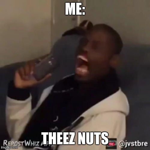 ME: THEEZ NUTS | image tagged in these nuts | made w/ Imgflip meme maker
