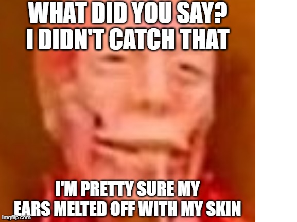 WHAT DID YOU SAY? I DIDN'T CATCH THAT I'M PRETTY SURE MY EARS MELTED OFF WITH MY SKIN | made w/ Imgflip meme maker