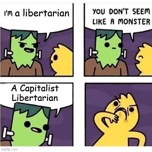 you don't seem like a monster | a libertarian; A Capitalist Libertarian | image tagged in you don't seem like a monster,libertarian,capitalism | made w/ Imgflip meme maker