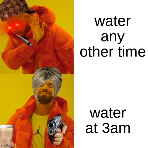 water any other time water at 3am | image tagged in memes,drake hotline bling | made w/ Imgflip meme maker