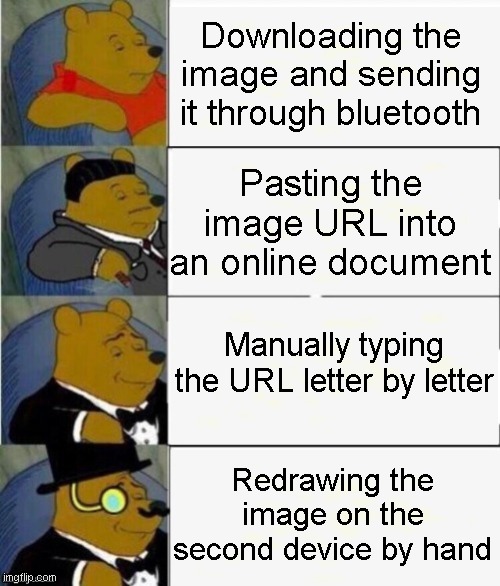 How to send an image from your phone to your computer: | Downloading the image and sending it through bluetooth; Pasting the image URL into an online document; Manually typing the URL letter by letter; Redrawing the image on the second device by hand | image tagged in tuxedo winnie the pooh 4 panel,memes | made w/ Imgflip meme maker