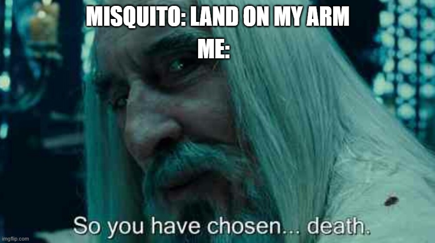 So you have chosen death | ME:; MISQUITO: LAND ON MY ARM | image tagged in so you have chosen death | made w/ Imgflip meme maker